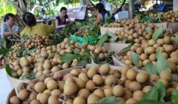 Rộ tin nhãn Hưng Yên nhúng lưu huỳnh: 'Có thể nhầm với hàng Thái Lan'